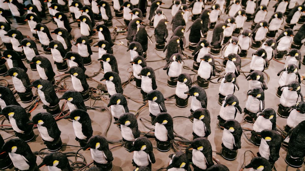 Iranian karate athlete Sara Bahmanyar celebrating her gold medal win at the 2025 World Games.
