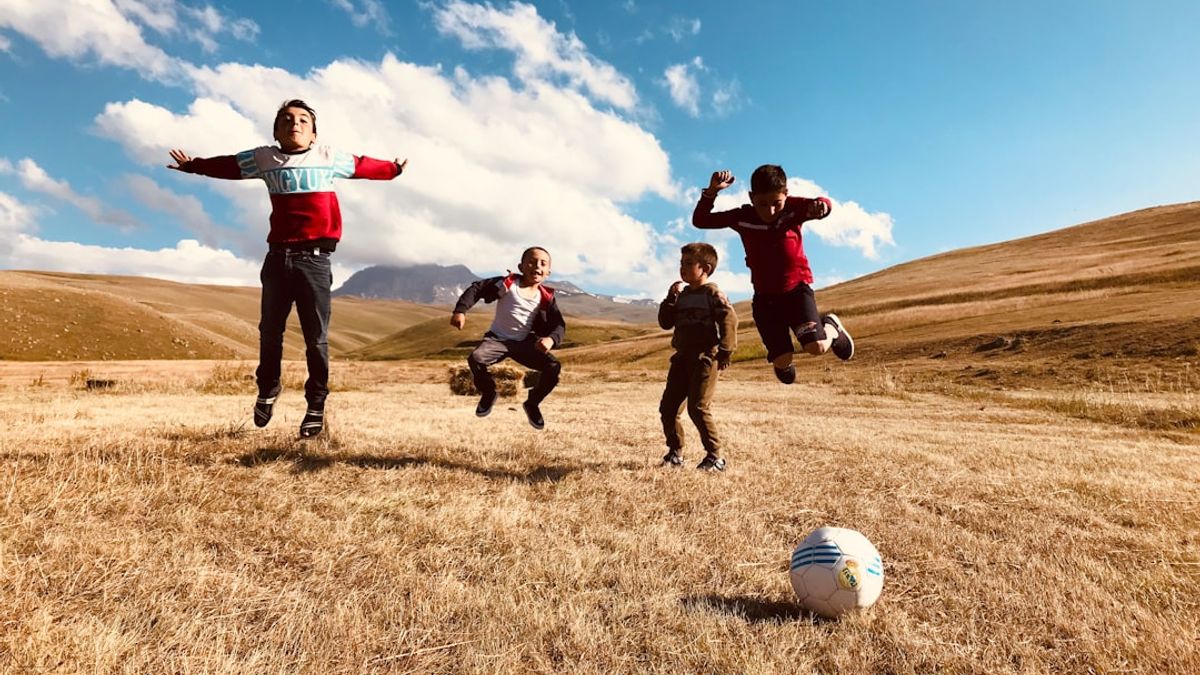 green stadium Iran - 7 Reasons Green Stadium Iran Is Changing Football