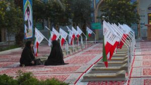 Iran Mma Transparency Drives Reform In 2025 Combat Sports