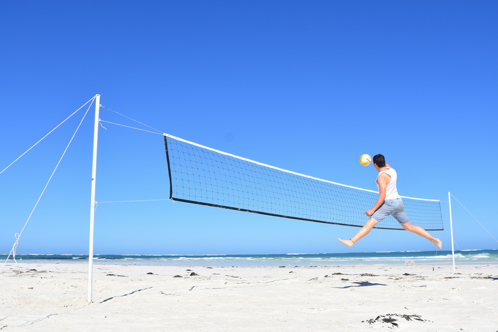 iran-volleyball action