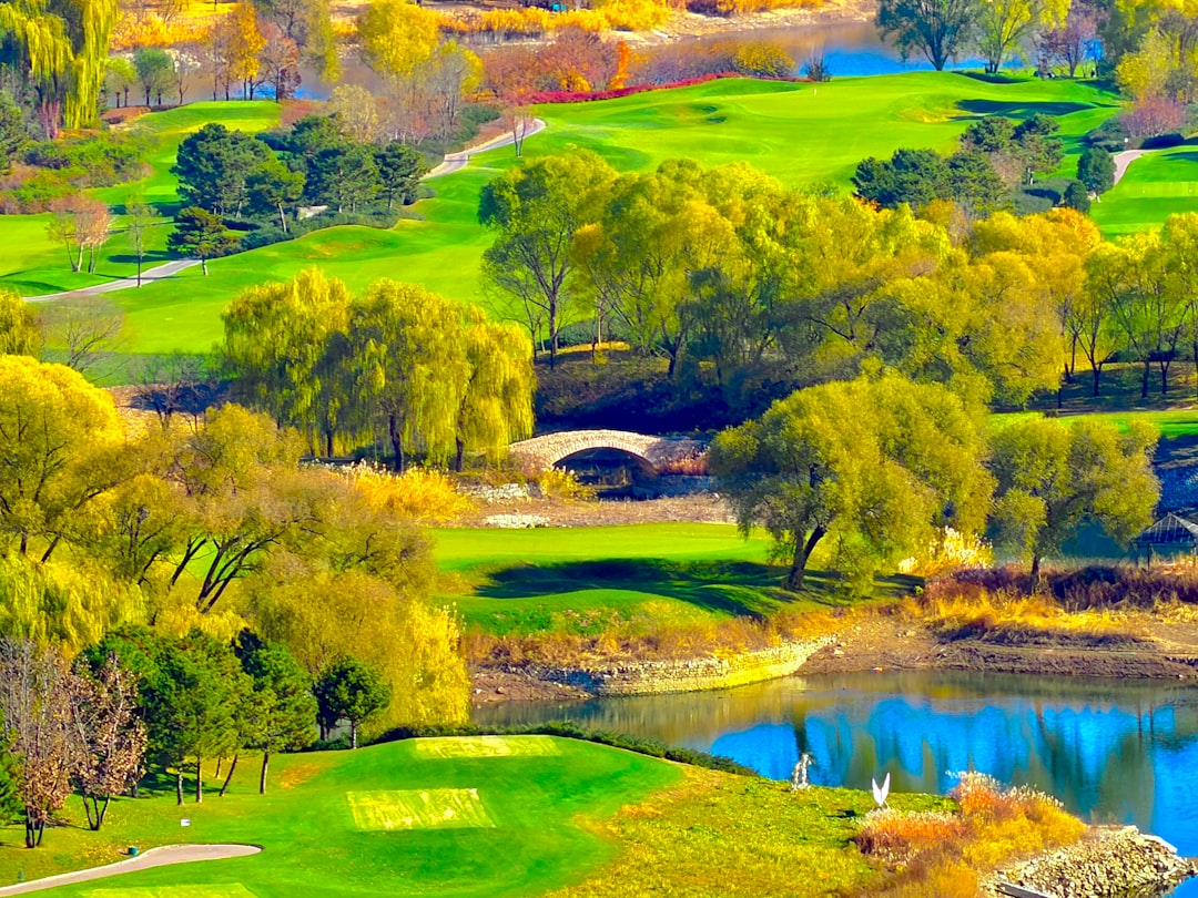 A pristine golf course green with rolling fairways surrounded by tall trees