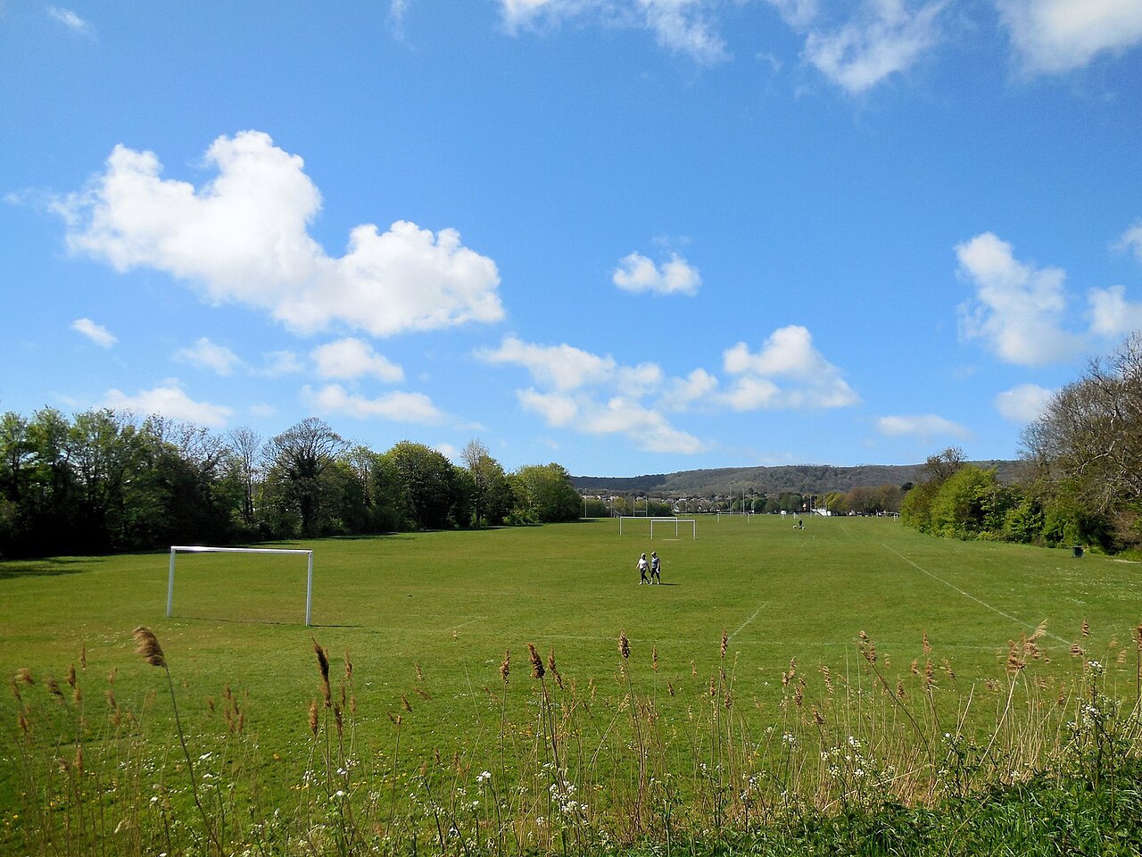 football pitch (foto: Paul Gillett / CC BY-SA 2.0, Wikimedia Commons)