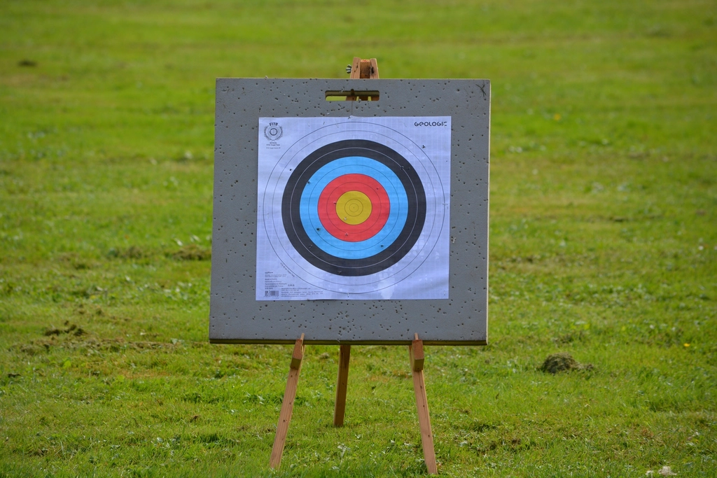 A round archery target face with coloured rings and several arrows grouped near the centre